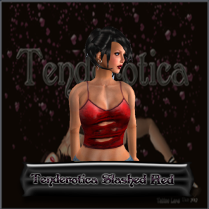 TenderoticaSlashed-redBox